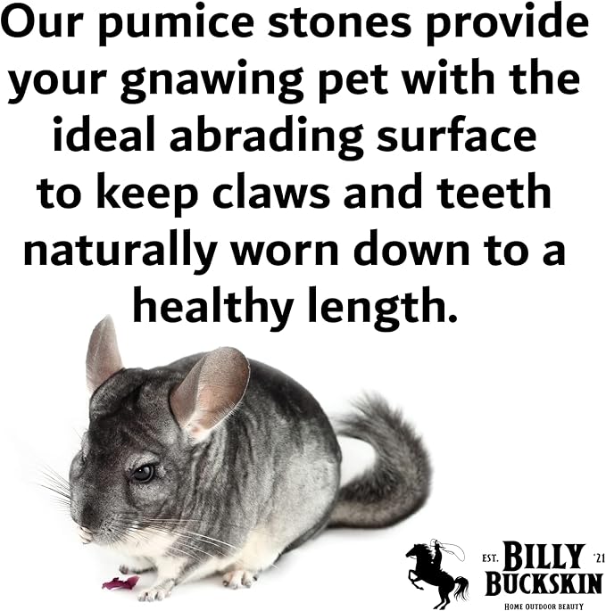 Chinchilla Chew Toys, Pumice Chew Blocks, Lava Block for Hamster, Rat, Mice, Degus, Gerbils, Small Animal Toys, Guinea Pigs, Rabbit Toy, Bunny Toy by Billy Buckskin (Pack of 6)Mined in USA