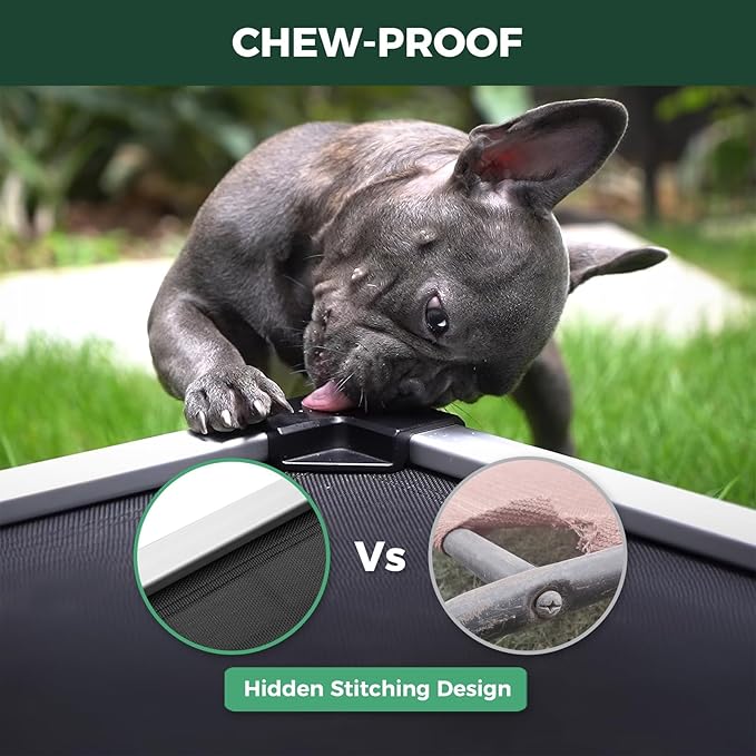 FXW TitanNest Chew-Proof Elevated Dog Bed, Raised Cot for Indoor/Outdoor/Camping Use, Durable & Waterproof Cooling Pet Bed for Toy Dogs, 23.0" L x 17.0" W x 4.5" H, Black