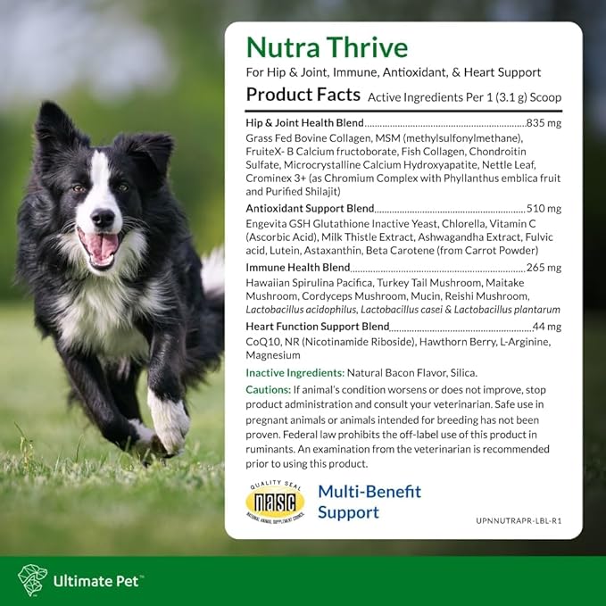 Ultimate Pet Nutrition Nutra Thrive Canine, 40-in-1 Nutritional Powder Supplement for Dogs with Digestion and Immune Support, Vitamins, Minerals, Probiotics, Enzymes, 30 Scoops (Pack of 3)