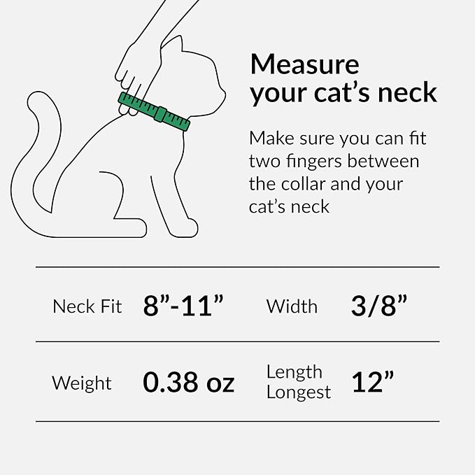 CollarDirect Leather Cat Collar with Bell - Kitten Collar, Small and Big Cat Collar for Boy Cats, Girl Cats with Safety Elastic Strap (Neck Fit 8"-11", Lime Green)