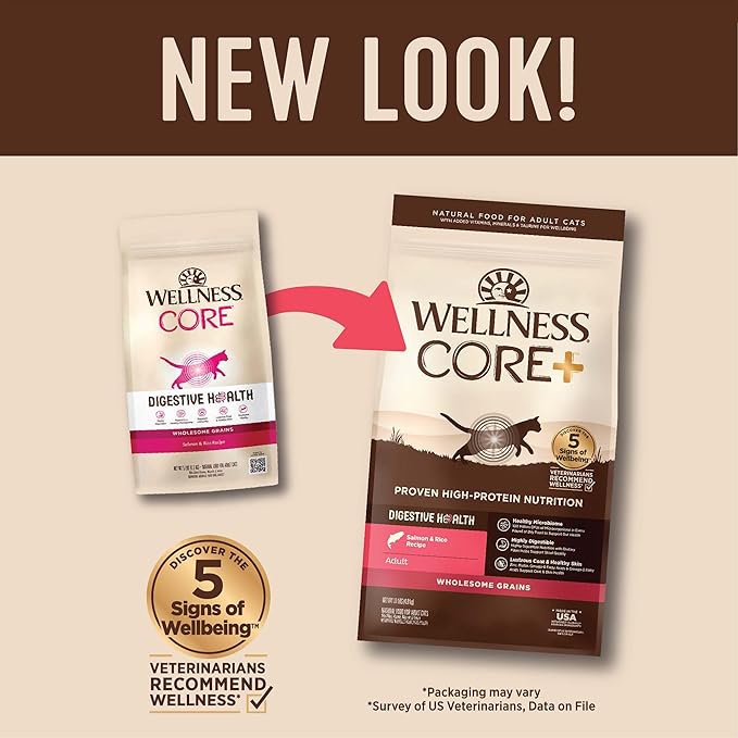 Wellness CORE+ Adult Dry Cat Food for Indoor and Outdoor Cats, Wholesome Grains, Natural, Digestive Health Salmon & Rice (11 Pound Bag)