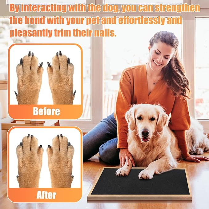 Pet Nail Self Adhesive Replacement Emery Paper Fits Most Dog Scratch Pad Cat Litter Box DIY on The Places Where Pets Like to Scratch Alternatives to Cat and Dog Nail Clippers (10in*13ft, Black)