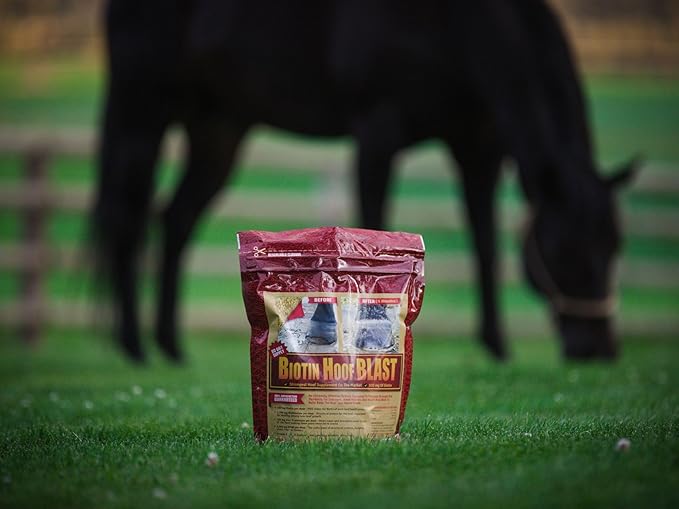 Horse Guard Hoof Supplements for Horses - 80 Servings - Biotin Hoof Blast 10lb Bag with 100mg Biotin per Serving - Concentrated Equine Hoof Health, Strengthener with MSM, Methionine, Zinc