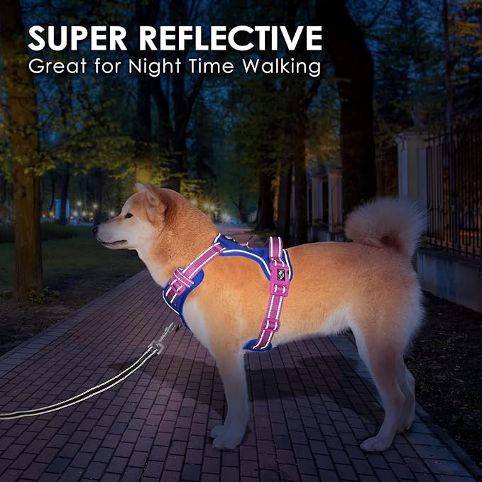 PHOEPET No Pull Dog Harness, Unique Colors Reflective Adjustable Dog Vest, with Soft Training Handle Metal Clips for Small Medium Large Dogs (Royal Blue Base & Pink Straps,L)