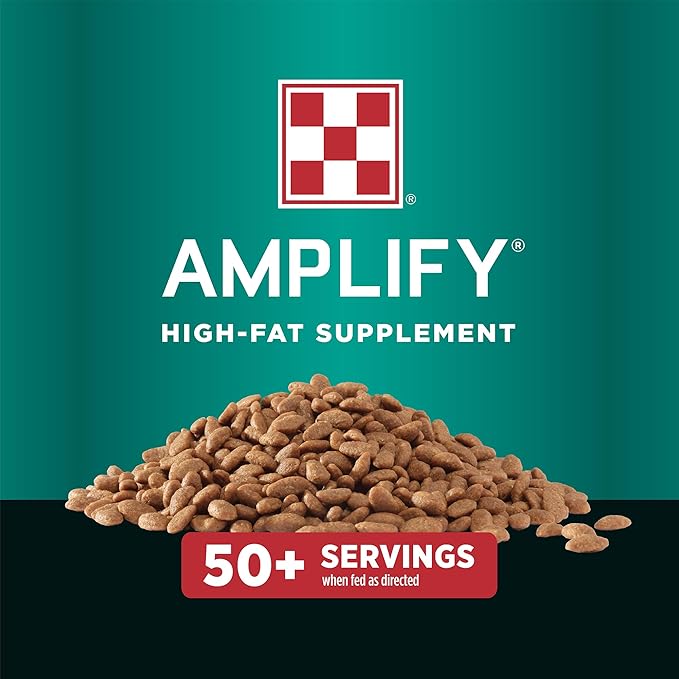 Purina, Amplify Equine, High-Fat Horse Supplement for Maintenance, Breeding, & Performance Horses, 50 lbs