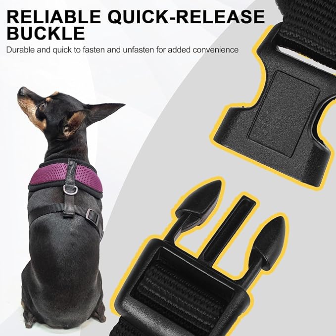 BINGPET Small Dog Harness - Breathable Mesh Puppy Cat Harnesses - No Pull Adjustable Dog Harness Dog Vest Harness for Small and Medium Dogs