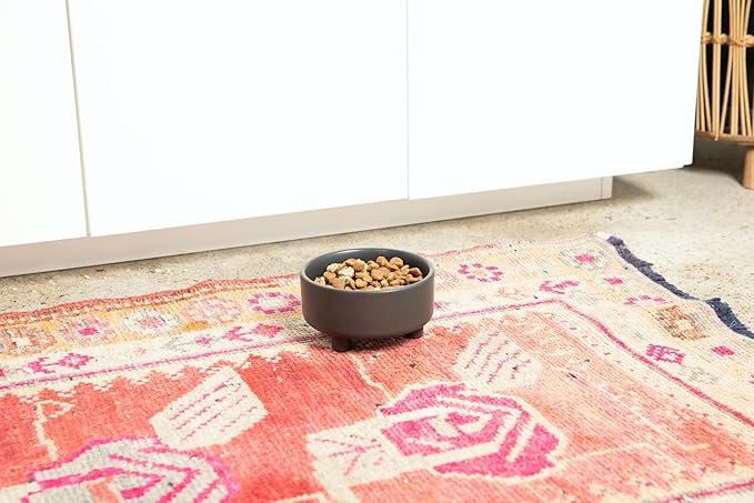 Waggo Uplift Ceramic Dog Bowl for Small Medium and Large Breeds - Heavyweight and Durable Pet Food and Water Dish Crock, Dishwasher Safe, Modern, Elevated Feeder (Teracotta, Medium)