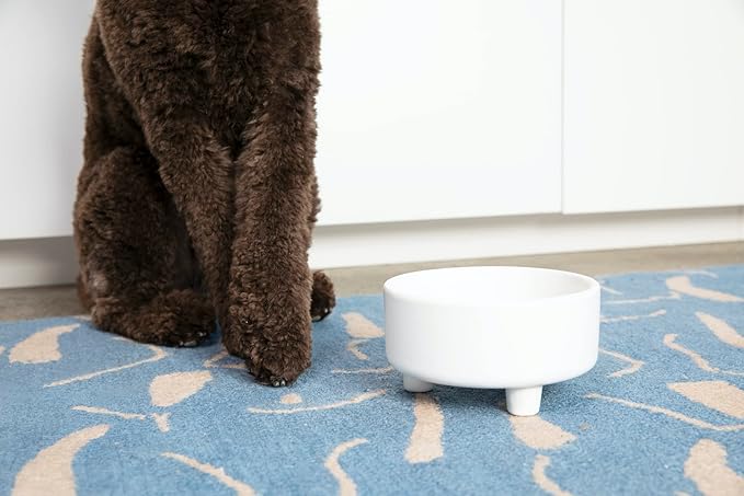 Waggo Uplift Ceramic Dog Bowl for Small Medium and Large Breeds - Heavyweight and Durable Pet Food and Water Dish Crock, Dishwasher Safe, Modern, Elevated Feeder (Black, Large)