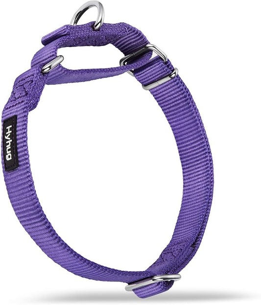 Hyhug Pets Premium Upgraded Heavy Duty Nylon Anti-Escape Martingale Collar for Boy and Girl Dogs Comfy and Safe - Daily Use Walking and Professional Training. (Large, Ultra Violet)