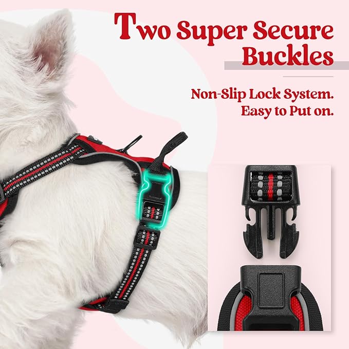 rabbitgoo Dog Harness No Pull with 2 Leash Clips, Adjustable Soft Padded, Reflective Oxford No Choke Pet Vest with Easy Control Handle for Puppy, Red,XS