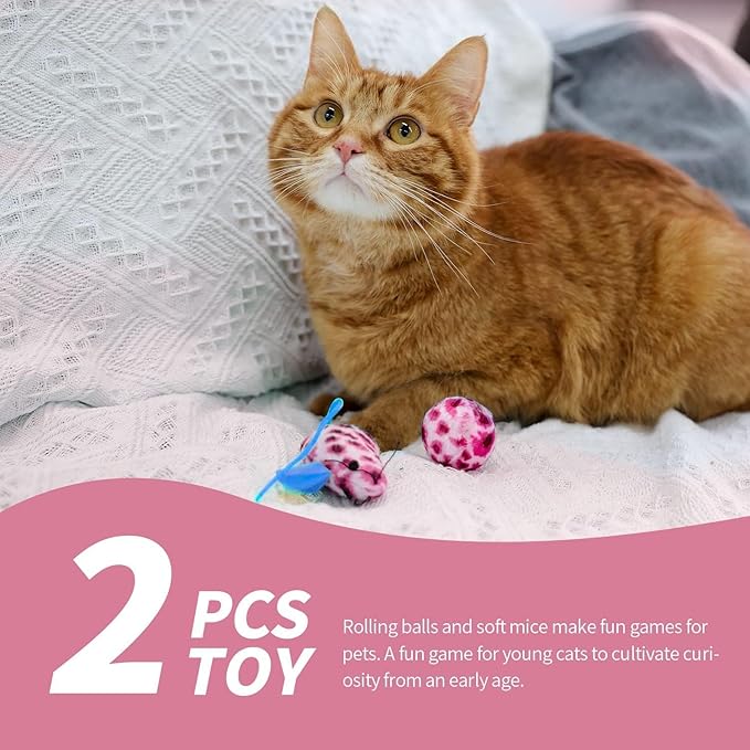 PAWISE Cat Litter Box Set, Small Kitten Starter Kit, Includes Litter Box, Litter Scoop, Double Dish Feeding Bowl, Cat Mouse Toy, Kitty Ball Toy, Pink