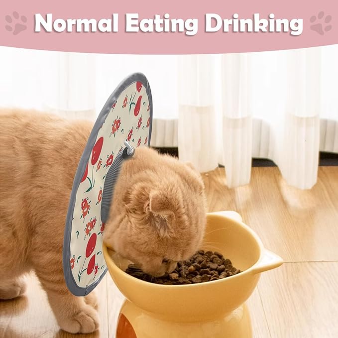 LOS ANDES Cat Recovery Collar for Necks, Alternative to Cones, Lightweight Post-Op Kitten and Puppy Protection