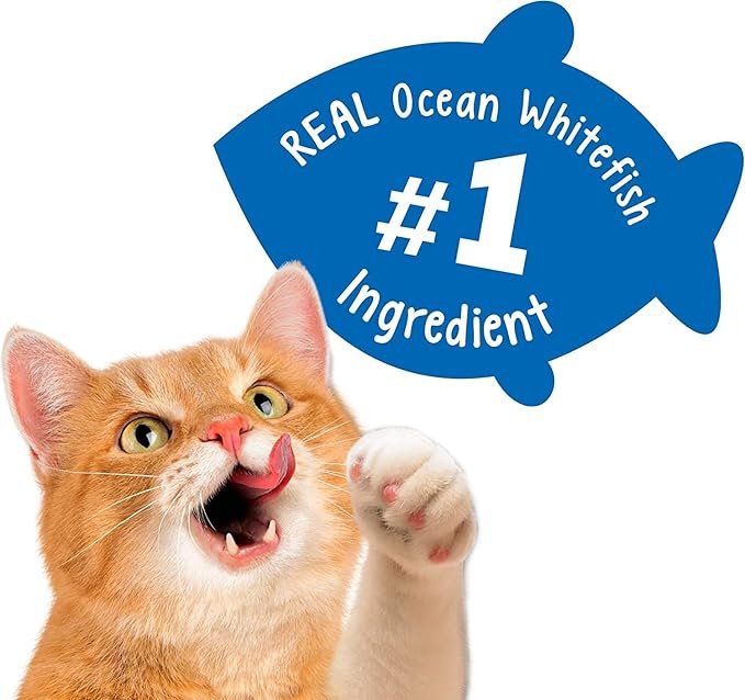 Purina Party Mix Crunch Beachside Cat Treats (1.25 Pound (Pack of 1), Beachside Crunch)