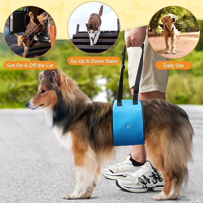 Dog Lift Harness Dog Sling for Large Dogs, Portable Dog Carrier Sling for Back Legs, Ajustable Hip Support Harness for Weak Rear Leg, Assist Senior Disabled Joint Injuried and After ACL