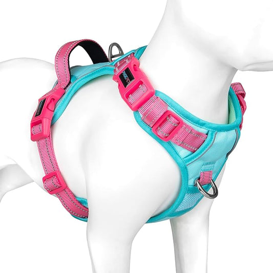 PHOEPET No Pull Dog Harness, Unique Colors Reflective Adjustable Dog Vest, with Soft Training Handle Metal Clips for Small Medium Large Dogs (Mint Green Base & Pink Straps,M)