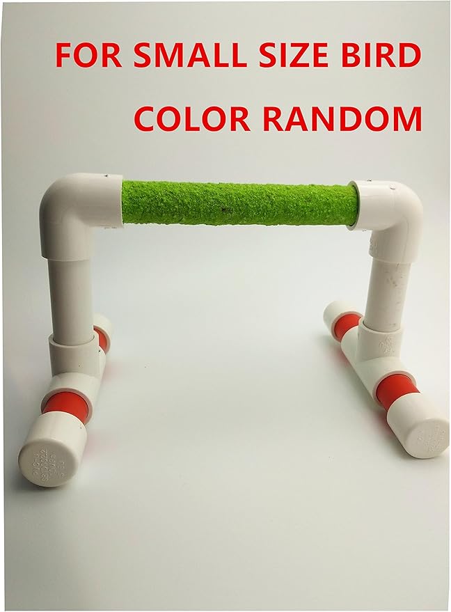 Hypeety Small Bird Parrot Stand Perch Table Top Stand Playground Grind Perch Swing Training Playstand Exercise Chew Toys for Budgies Parakeet Cockatiel Conure Finch (Perch, M)