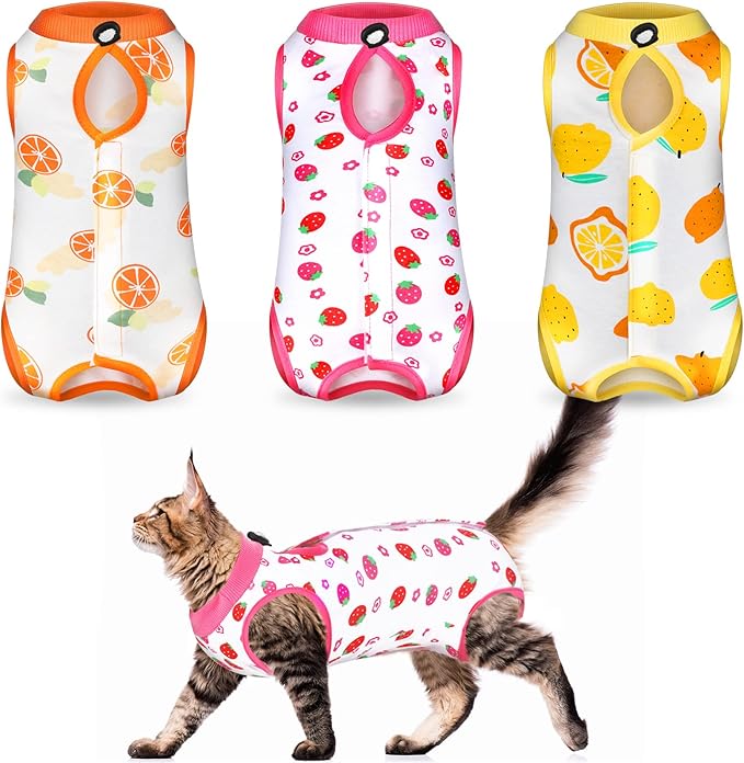 Nuanchu 3 Pieces Cat Recovery Suit Kitten Recovery Suit E-Collar Alternative for Cats and Dogs Abdominal Skin Anti Licking Pajama Clothes Sets(Fruit Pattern,Large)
