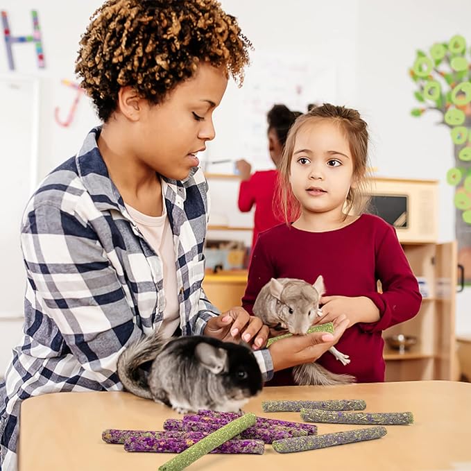 Sofier Timothy Hay Treats Rabbit Toys Bunny Toys Guinea Pig Hamster Natural Chews for Teeth Handmade Rabbit Chews and Treats Chinchilla Rat Gerbil