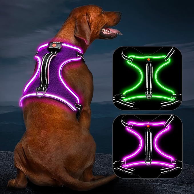 Light Up Dog Harness, No Pull LED Dog Harness with Handle, Rechargeable Lighted Safety Vest for Small Medium Large Dogs, Adjustable Soft Dog Lights for Night Walking
