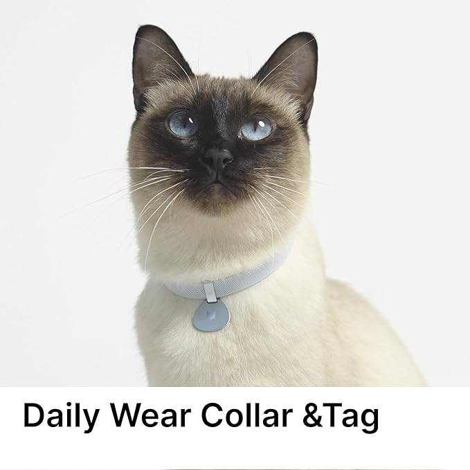 Safety Cat Collar and ID Tag Set, Elastic Quick Release Non Breakaway Collar, Personalized Aluminum Engraved Pet Name Tag, Lightweight for Kitten Small Large Cats (Alpine+Olive-M, Pocket)