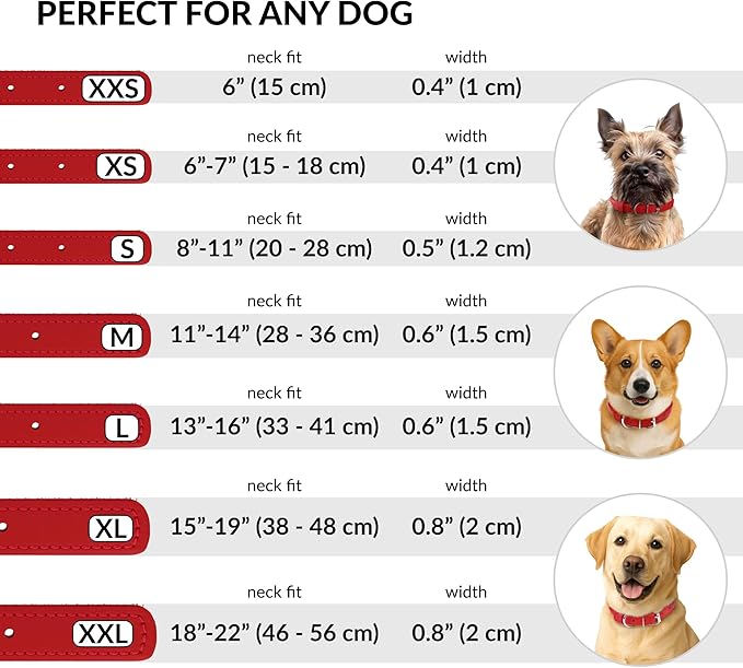 CollarDirect Rolled Leather Dog Collar, Soft Padded Round Puppy Collar, Handmade Genuine Leather Collar Dog Small Large Cat Collars 13 Colors (6-7 Inch, Red Smooth)