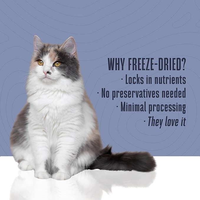 Whole Life Cat Just One Tuna Freeze Dried Cat Treats - Human Grade High Protein Food, Healthy Training Snacks, Freeze Dried Tuna Food Toppers, USA Made Natural Treats - 3 oz (Pack of 1)