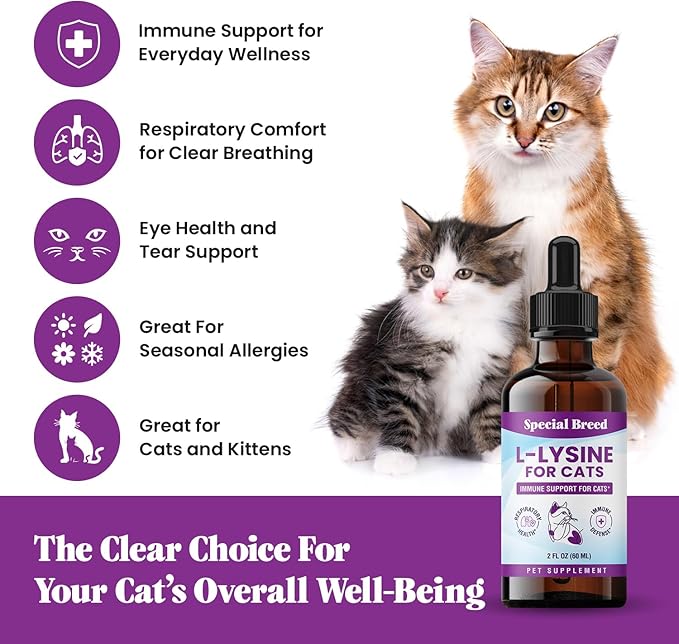 Special Breed L-Lysine for Cats & Kittens – Immune, Respiratory & Eye Health Support – Liquid Cat Supplement with Astragalus, Burdock, Atractylodes, Dangshen & Vitamins A, B1, B2, B6 – 2oz (60mL)