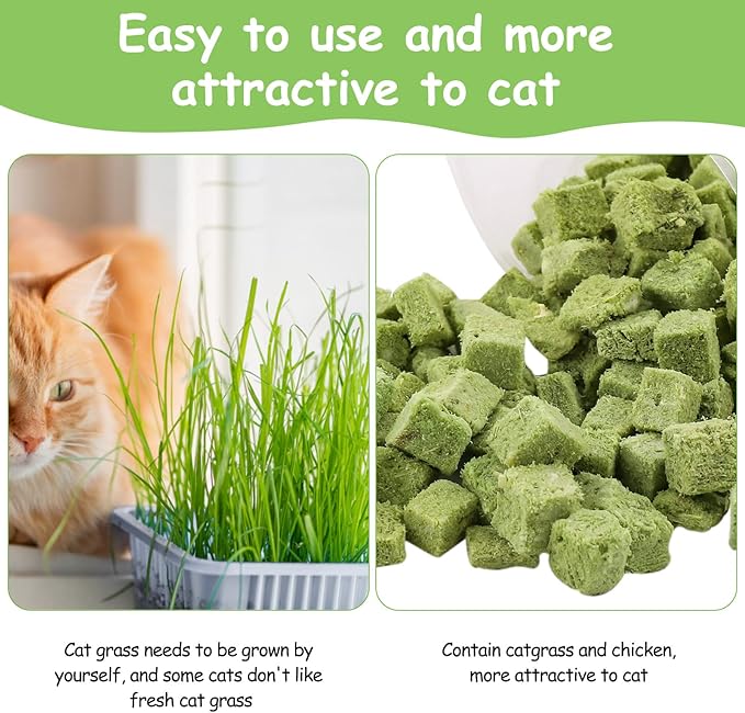 HavenJanny 60g Cat Grass Treats for Cats, Freezed Drying Cat Grass Teething Stick Snacks for Kitty, Edible Cats Chew Toys for Teeth Cleaning and Hairball Removal