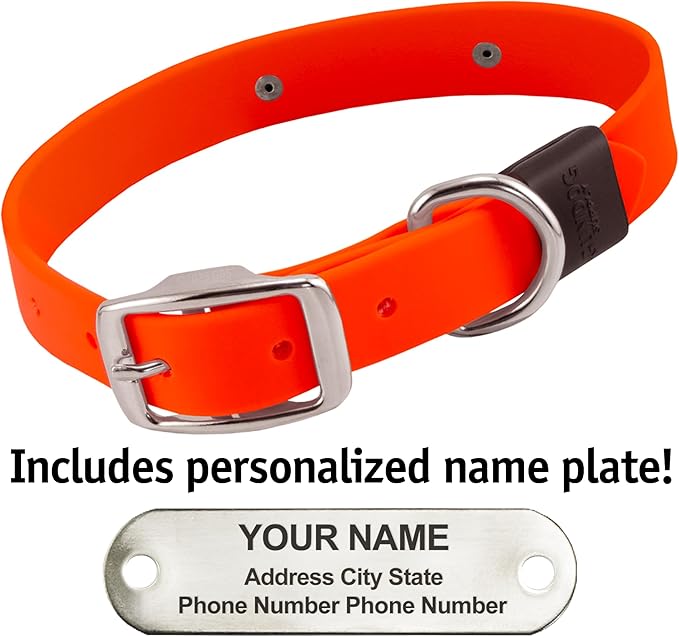 Biothane Custom Dog Collar – Waterproof, Stink-Proof Personalized Collar with Name & Phone Number – Durable, Many Sizes and Colors – Assembled in USA (Hunter Orange)