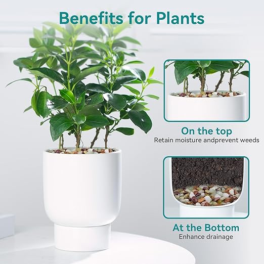 10lbs Pebbles for Indoor Plants, 3/8 Inch Small Rocks for Potted Plants, Succulents, Vase Fillers, Cactus Planters, Bird Bath, Fountain, Outdoor Garden Landscaping