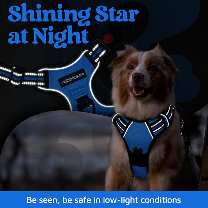 rabbitgoo Dog Harness for Large Dogs, No Pull Pet Vest with 3 Buckles, Adjustable Soft Padded Pet Harness with Easy Control Handle and Reflective Strips, Blue, XL