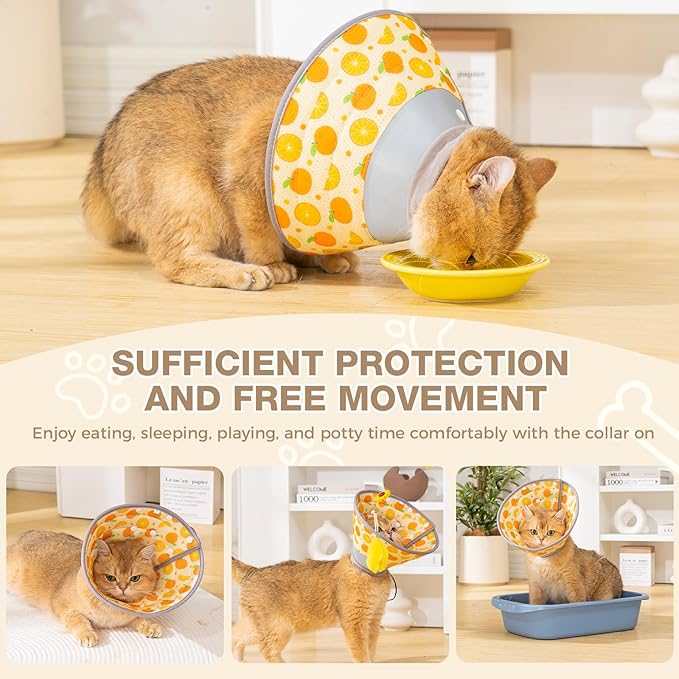Avont Cat Cone Collar Soft to Stop Licking, Adjustable Foldable Lightweight Kitten Recovery Collar After Surgery for Small Dogs, Elizabeth Cone of Shame Alternative -Orange(M)