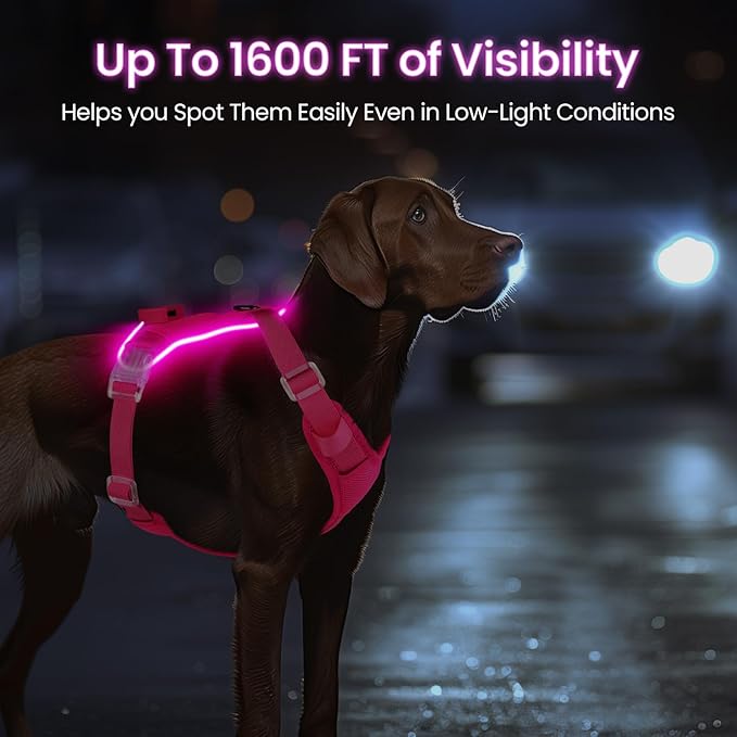 Light Up Dog Harness,Reflective Pet Harness Rechargeable,Led Dog Vest Harness for Night Walking,Adjustable Dog Safety Vest for Small Medium Large Dogs-No Pull,Pink,M