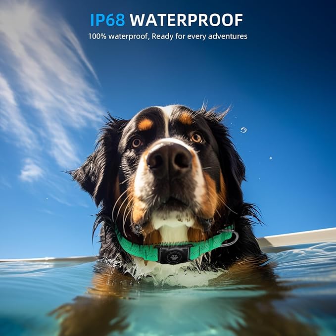 Upgraded AirTag Dog Collar, IP68 Waterproof Air Tag Dog Collar Holder, Reflective, Ultra-Durable, Comfortable Padded, Heavy Duty Dog Collars for Small Medium Large Dogs (XS (10.25"-13"), Teal)