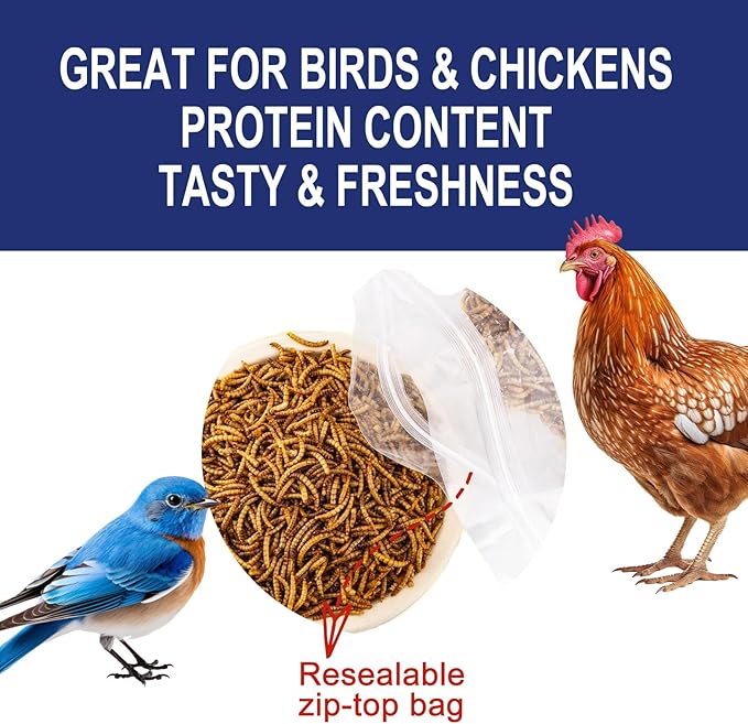 RANZ 5LBS Non-GMO Dried Mealworms for Chickens, High Protein Meal Worms, Premium Chicken Feed, Perfect Bird Food and Chicken Treats, Whole Large Mealworms for Wild Birds, Ducks, Fish