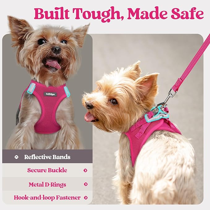 rabbitgoo Dog Harness Medium Sized and Leash Set, Step in Soft Light Puppy Vest, Breathable Mesh Pet Harness, Reflective for Safe Easy Walking, Rosa Red XXL