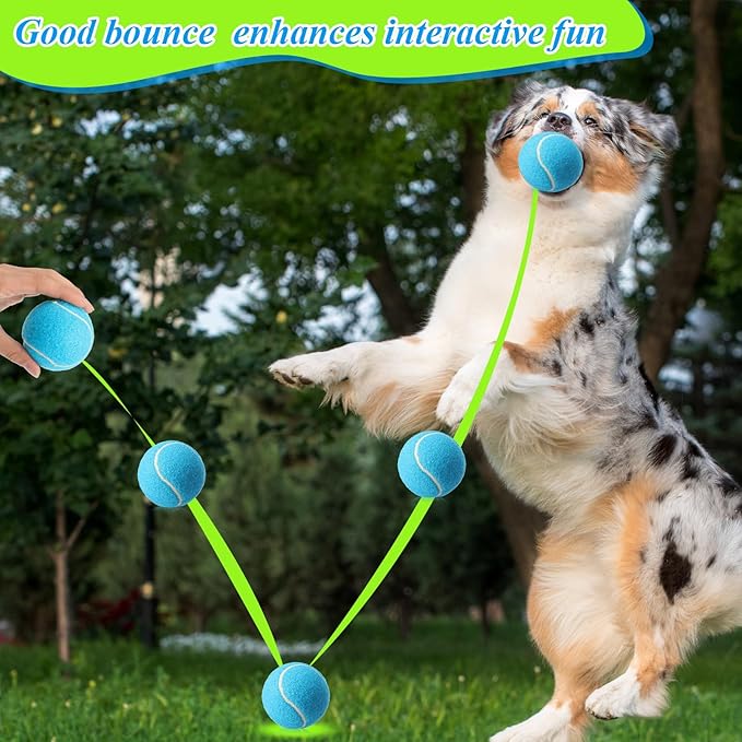 Skylety 100 Pcs 2.5 inch Squeaky Tennis Balls Bulk for Dogs Bouncy Floatable Tennis Balls Dog Playing Supplies Training Interactive Fetch Toys for Small Medium Puppy Exercise and Practice (Multicolor)