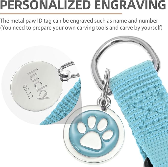 PUPTECK No Pull Dog Harness Soft Adjustable Basic Nylon Step in Puppy Vest Outdoor Walking with ID Tag and A-ir Tag Case, Sky Blue, M