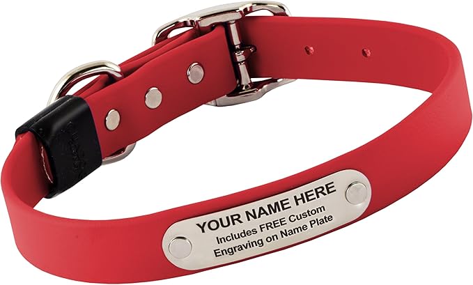 Biothane Custom Dog Collar – Waterproof, Stink-Proof Personalized Collar with Name & Phone Number – Durable, Many Sizes and Colors – Assembled in USA (Cherry Red)