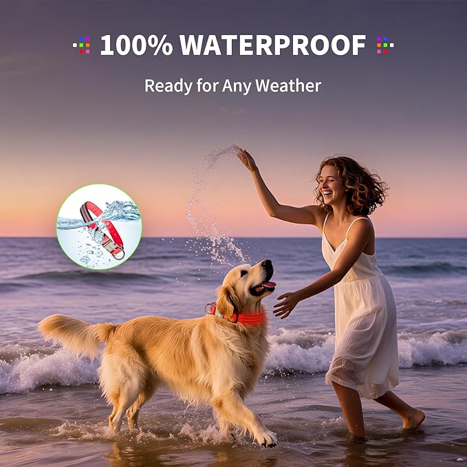 LED Dog Collar with Metal Buckle - USB Rechargeable Glow Collar for Dogs, Waterproof Light Up Dog Collar w/Reflective Strips - Adjustable Night Safety Collars by PetIsay(Red,Medium)