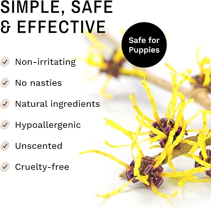 Eye Envy Fresh Ear Cleaning Wipes for Dogs. Made in The USA from Natural Ingredients. Unscented. Prevents Infections. Safe and Non-Irritating. Removes Dirt, Debris, and Wax buildup. 60 Count.