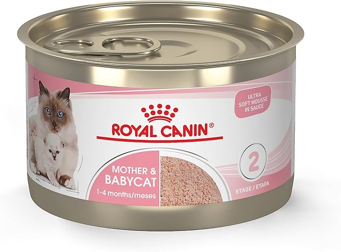 Royal Canin Feline Health Nutrition Mother & Babycat Ultra Soft Mousse in Sauce Canned Cat Food, 5.1 oz., Case of 24, 24 X 5.1 OZ