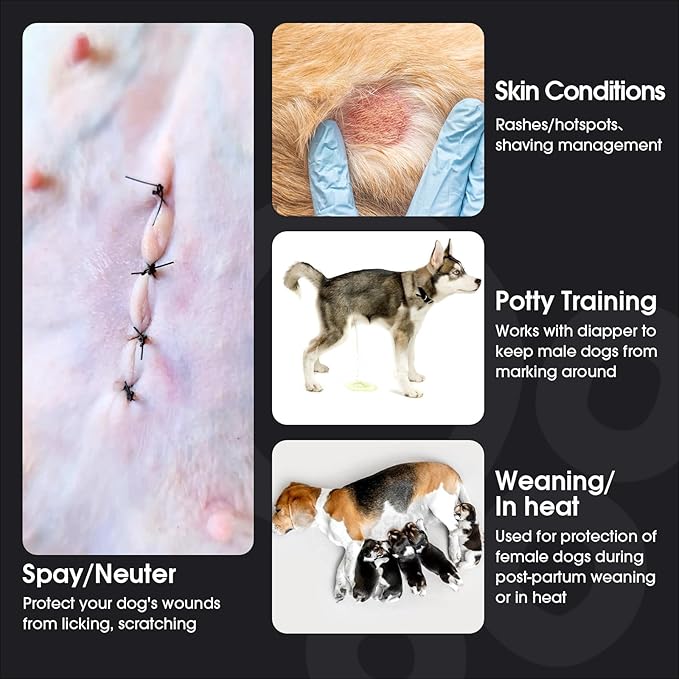 FUAMEY Dog Recovery Suit Male,Dogs Surgery Neuter Suits Puppy Spay Shirts for Female Protect Dog's Skin Anti Licking Abdominal Wounds Doggie Onesie Pet Bodysuit Alternative to Cone Polka Dot XL