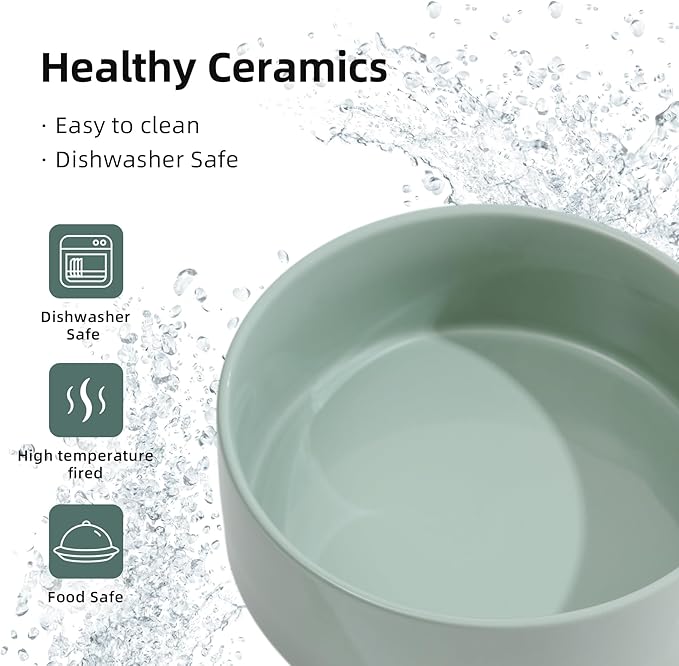 Ceramic Elevated Cat Food and Water Bowl, Kitty Bowl, Raised Cat Dish, Pet Feeder (5.1 in, 2 x Light Green + Stand)