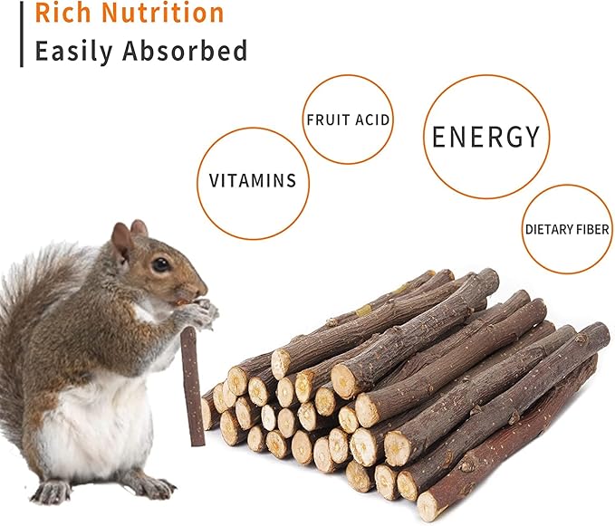 600g Apple Sticks Molar Wood Treats, Rabbit Toys Chinchilla Guinea Pig Bunny Toys Wood Chews Sticks for Teeth Rabbit Food Guinea Pig Hamster Gerbil Chews Small Animals Snacks(150 Pcs)