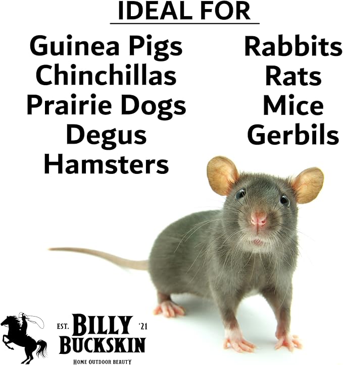 Chinchilla Chew Toys, Pumice Chew Blocks, Lava Block for Hamster, Rat, Mice, Degus, Gerbils, Small Animal Toys, Guinea Pigs, Rabbit Toy, Bunny Toy by Billy Buckskin (Pack of 6)Mined in USA