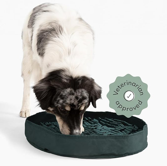 Reggie Stimulating Feeder Mat for Dogs | Relieve Speed Eating, Boredom, Stress | Vet-Approved & Ideal for All Ages, Dog Breeds, and Sizes (Hunter Green Feeder Mat)