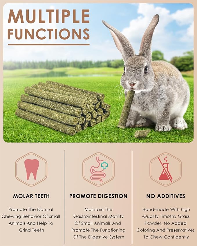 Bissap 22PCS Rabbit Chew Sticks, Mixed Natural Timothy Hay Flower Rose Dahlberg Daisy and Forget-me-not Chew Toys Treats for Bunny Chinchilla Guinea Pig Hamster and Other Small Pets Molar Snacks
