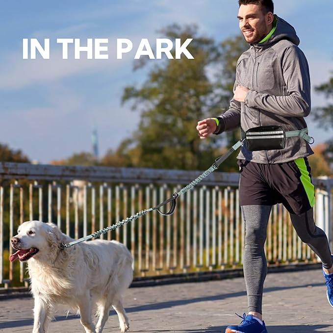 Hands Free Dog Leash with Pouch, Double Leash for Two Dogs, Retractable Bungee with Double Padded Handles, Dog Waist Leash for Dog Walking, Running Leash for Dogs, Dog Walking Accessories