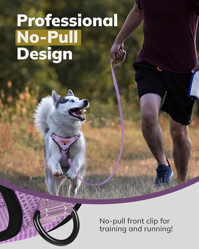 MIDOG No-Pull Dog Harness | Adjustable & Reflective Pet Harness Leash Set for Small Medium Large Dogs Walking, Training| No Choke, Front Clip, Soft Padded Vest with Easy Control Handle - Purple, L